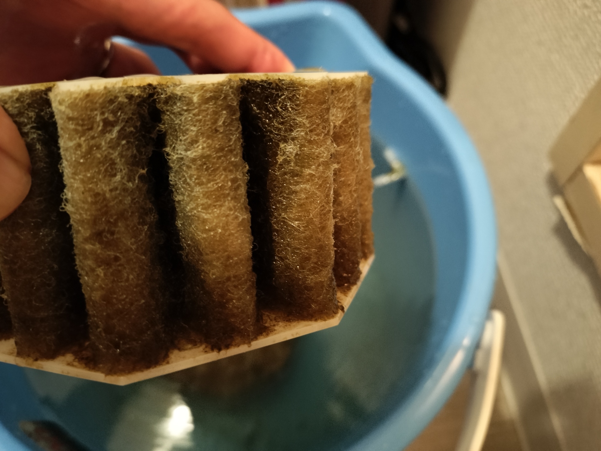 投げ込み式フィルターメンテナンス後