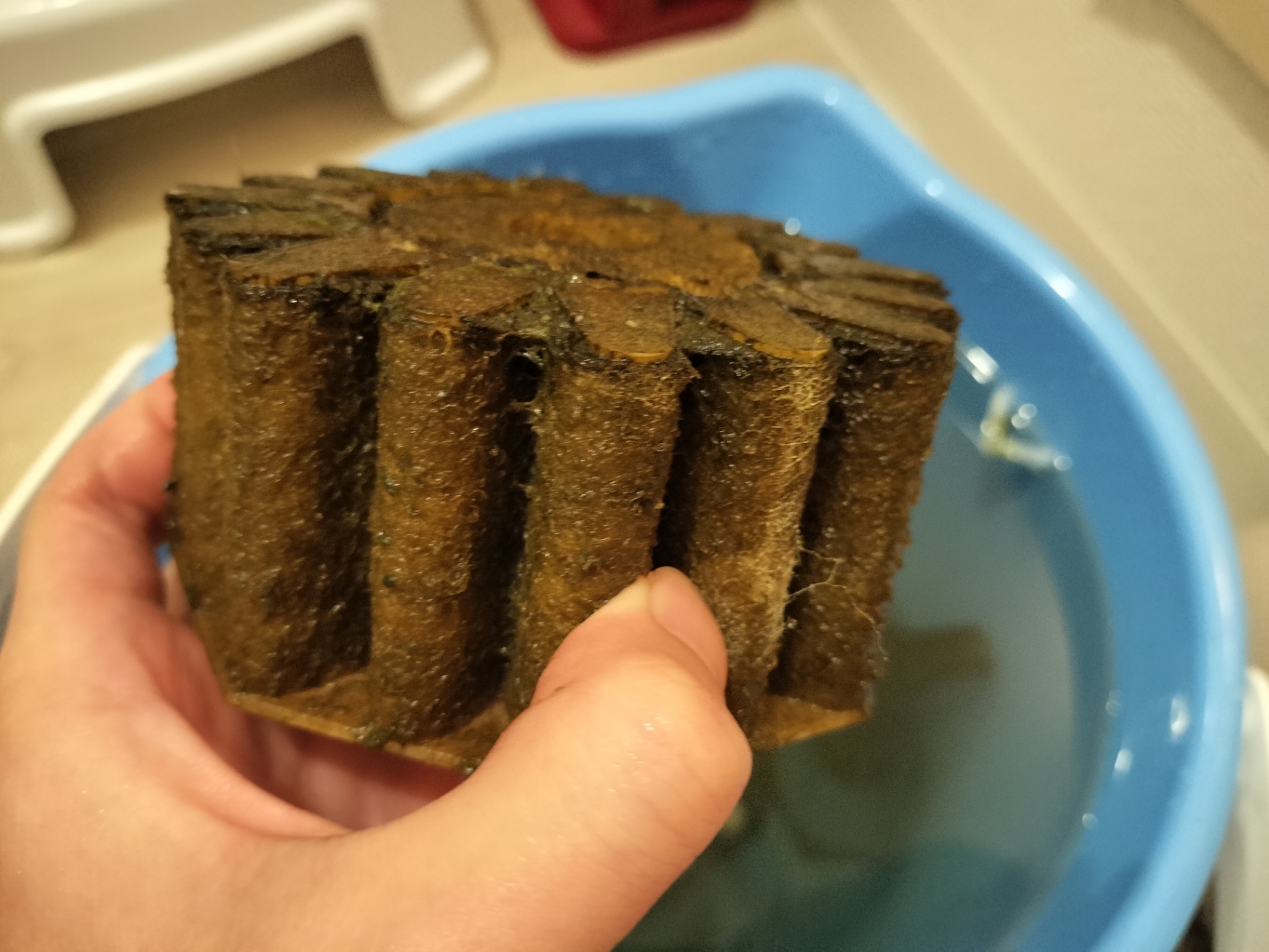 メンテナンス前の水作エイトコア