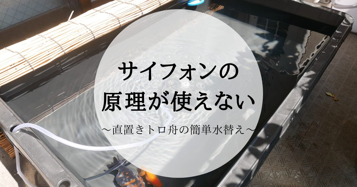 サイフォンの原理が使えない。直置き屋外トロ舟水槽の簡単水替え方法 