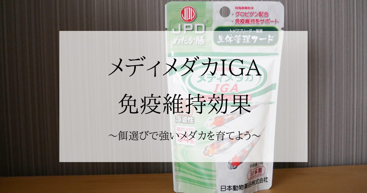 めだか膳メディメダカIGAで免疫維持をサポート。餌選びで強いメダカを 