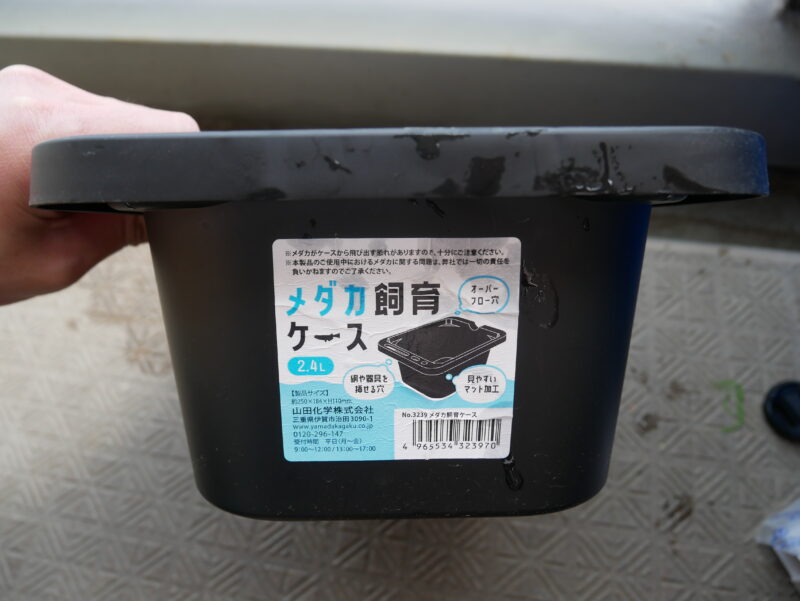 メダカ飼育ケース