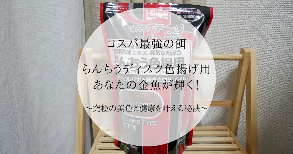 【コスパ最強の餌】らんちうディスク色揚げ用。あなたの金魚が輝く！究極の美色と健康を叶える秘訣 (1)