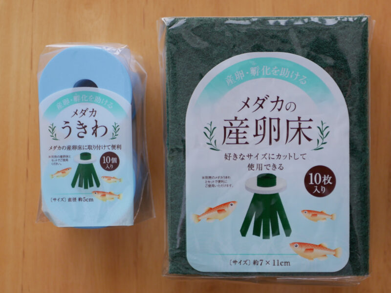 メダカの産卵床