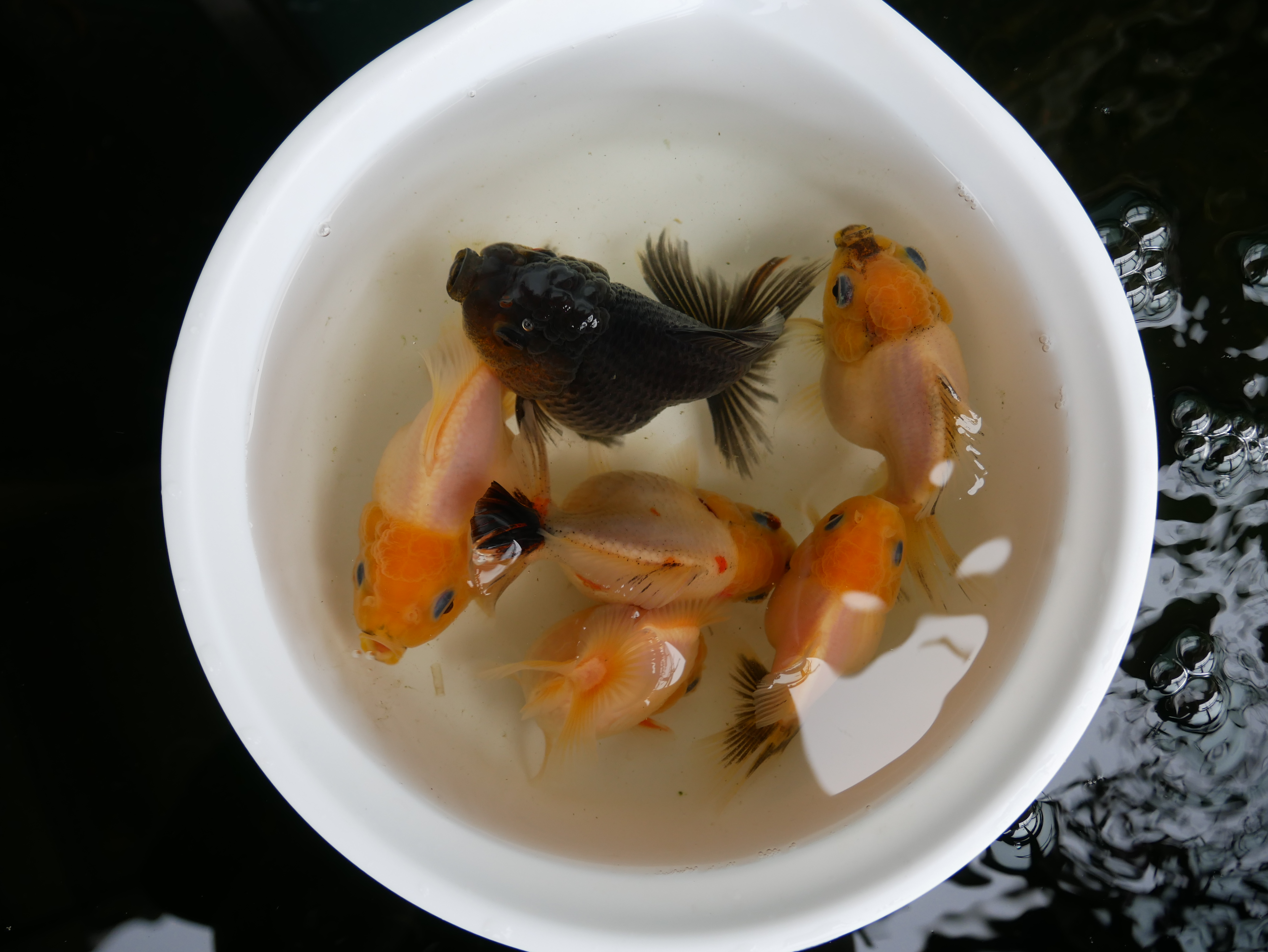 生後12ケ月