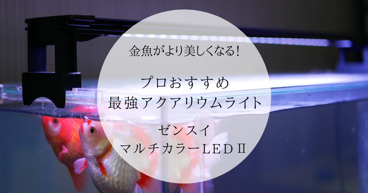金魚がより美しくなる！プロおすすめ。最強アクアリウムライト 