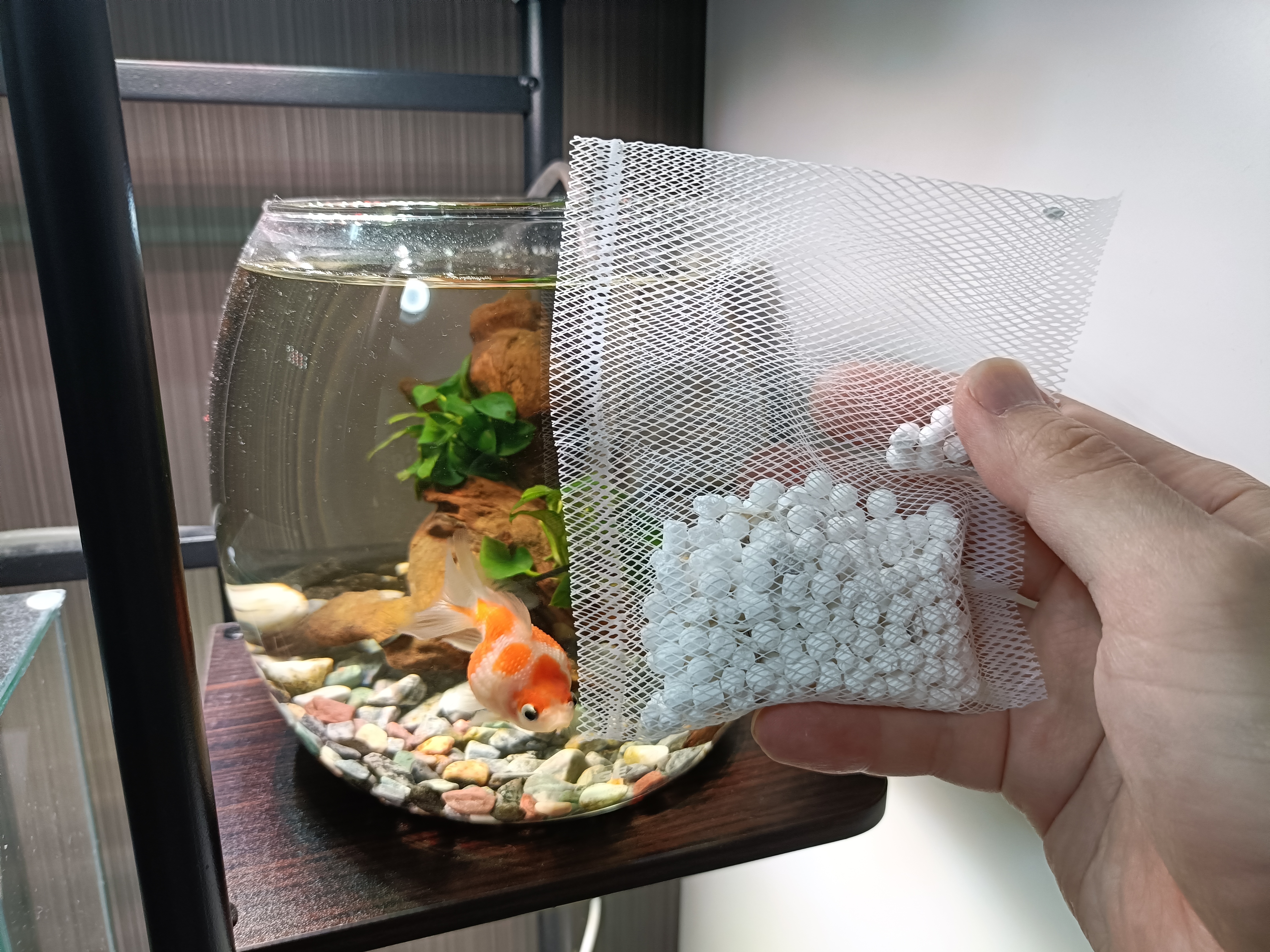 リバース+グレインゴールド